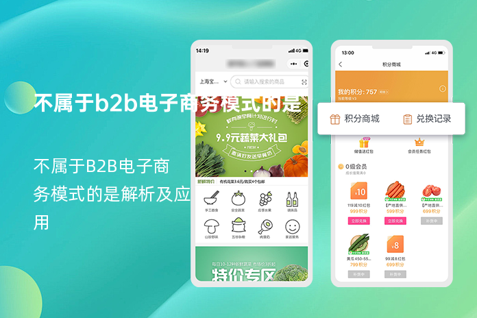 不属于b2b电子商务模式的是