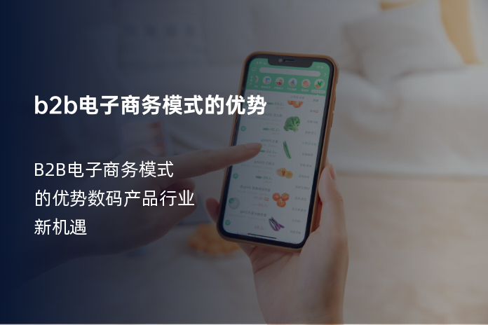 b2b电子商务模式的优势