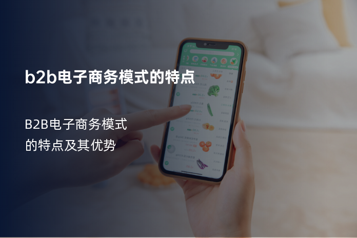 b2b电子商务模式的特点