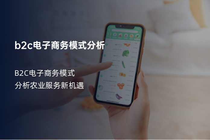 b2c电子商务模式分析