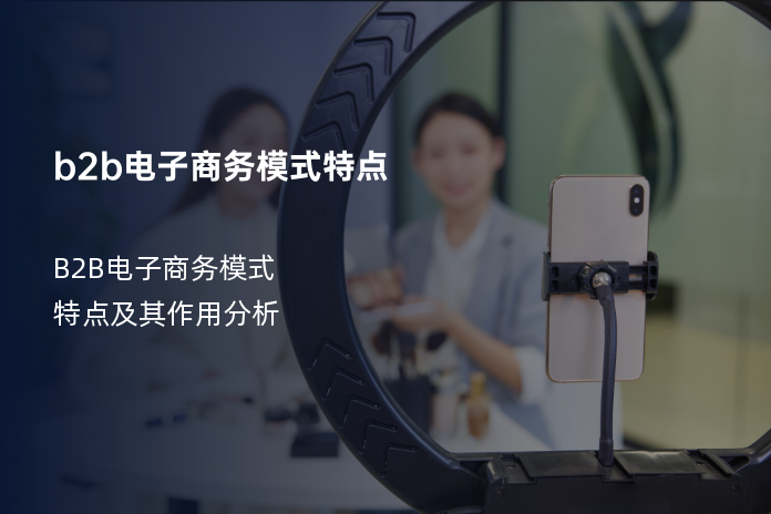 b2b电子商务模式特点