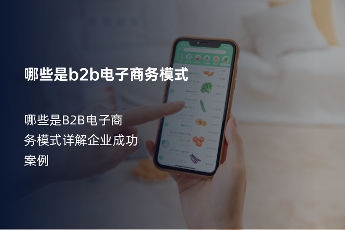 哪些是b2b电子商务模式