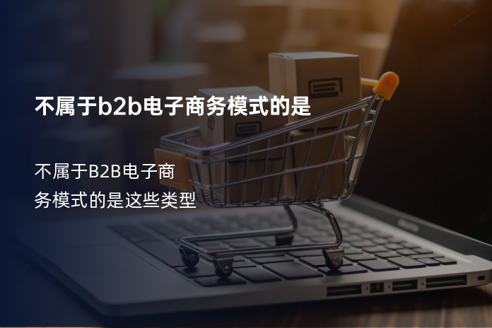 不属于b2b电子商务模式的是