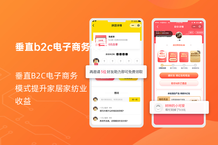 垂直b2c电子商务模式